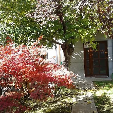 بيت شباب Oasis