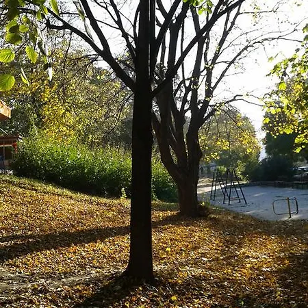 بيت شباب Oasis بلغراد