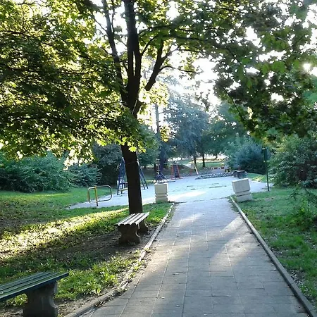 Oasis * Belgrade